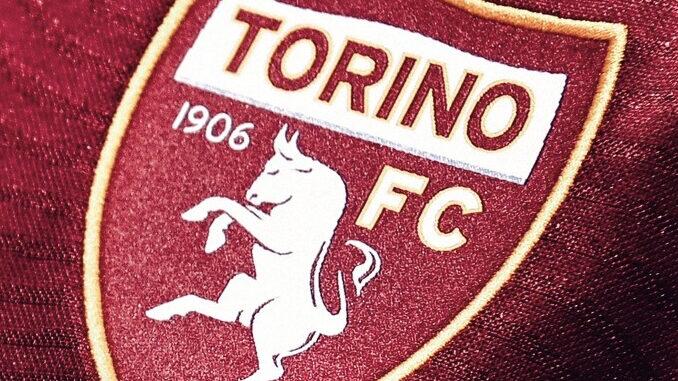Camisa Torino Joma 2023-2024