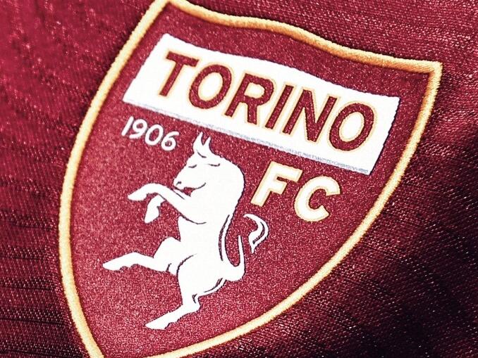 Camisa Torino Joma 2023-2024