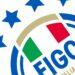federação italiana logo institucional