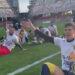 Catanzaro sobre serie b campeonato italiano