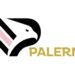 Novo logo do Palermo
