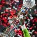 Tabela do campeonato italiano serie b 2026-2027